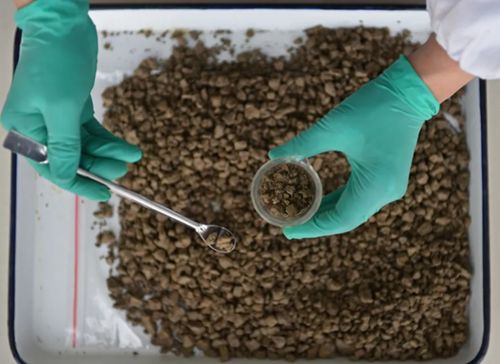 永清環保環境修復材料研發獲突破性進展，創新設計引領綠色科技新浪潮